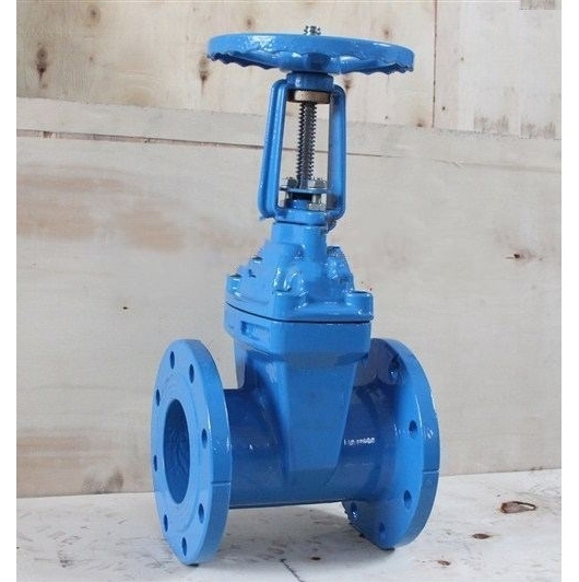 RRHX,Z41X明桿法蘭閘閥 