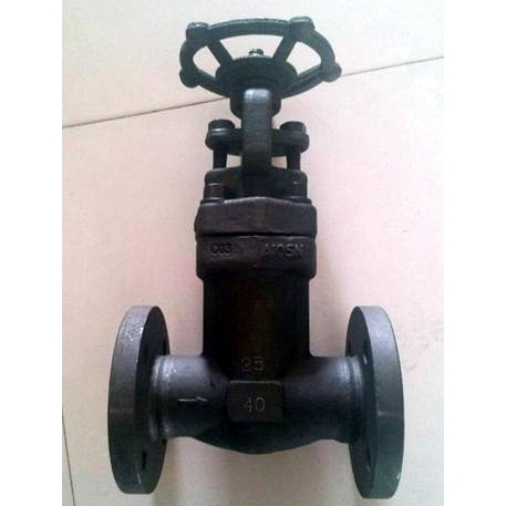 鍛鋼波紋管閘閥