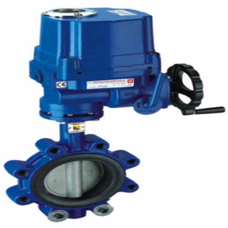 D943W電動防爆蝶閥