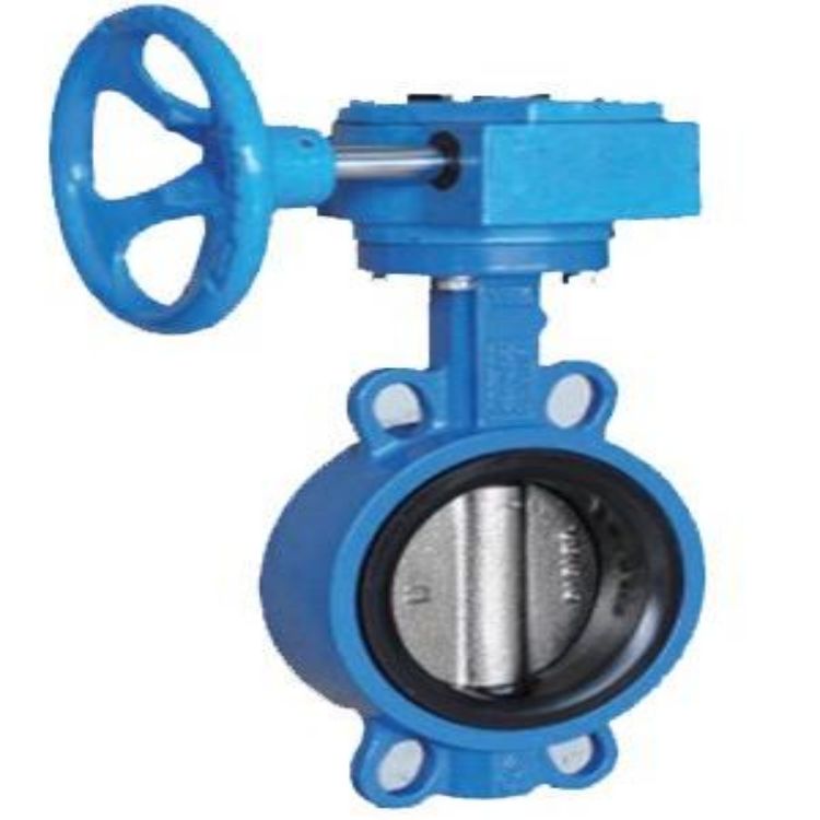 渦輪對夾式蝶閥